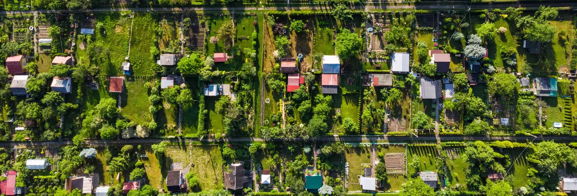 Aerial view of green urban plots and gardens showing how Biodiversity Net Gain BNG can be achieved through habitat creation and sustainable land use.