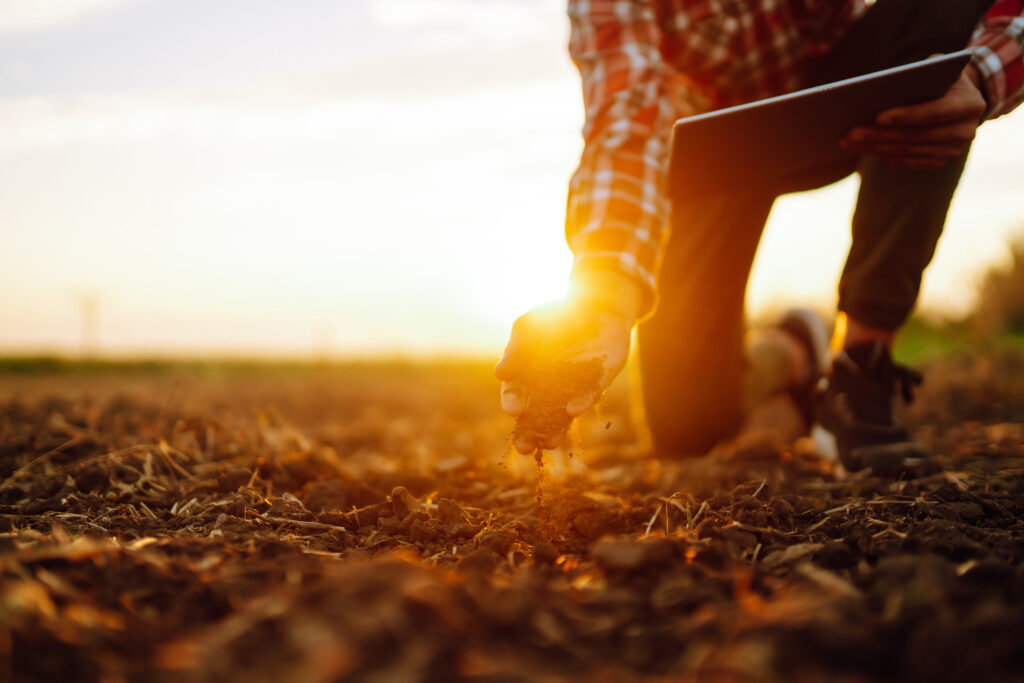 A person inspecting soil in a field during a contaminated land assessment, representing services like Contaminated Land Survey, Phase 1 Contaminated Land Assessment, and contamination investigations.