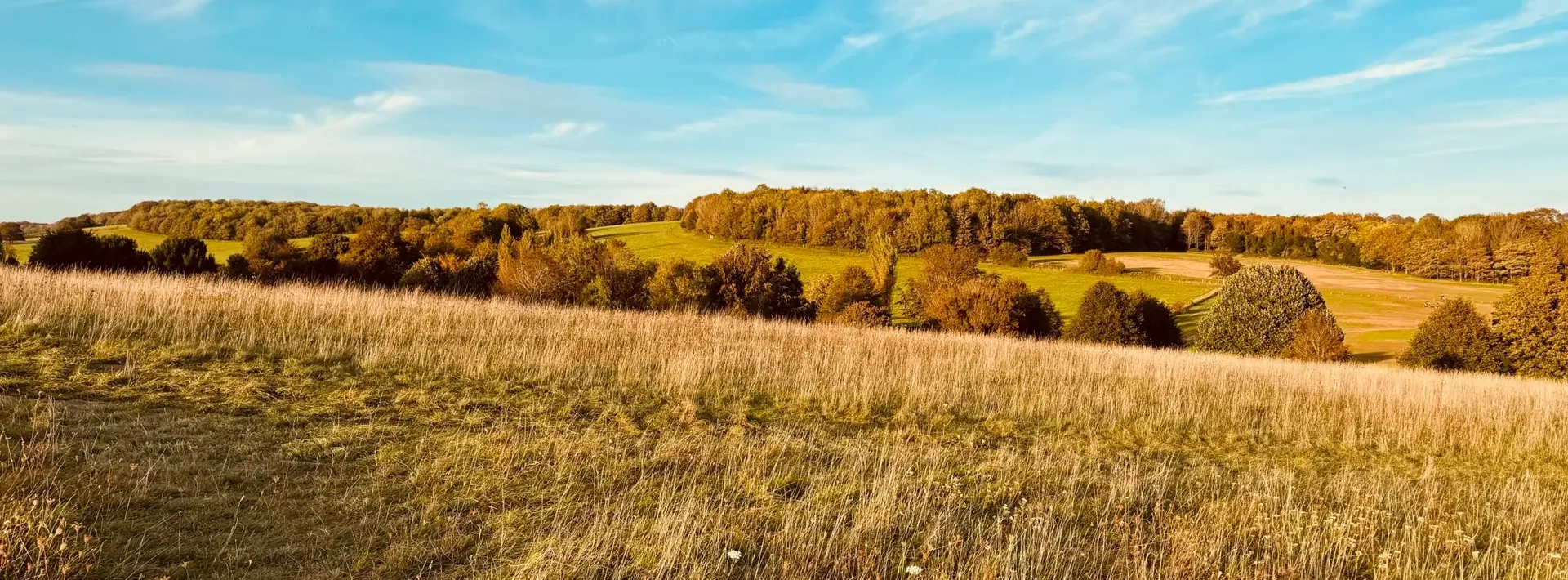 Habitat management and monitoring plan example landscape with grassland and woodland in England