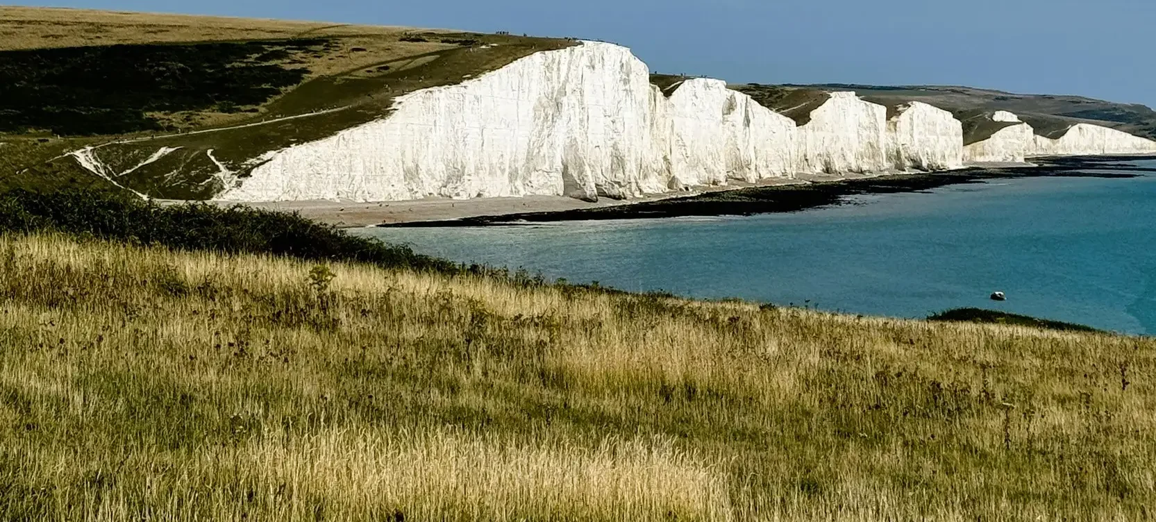Biodiversity net gain locations example showing coastal chalk cliffs and grassland habitats in southern England