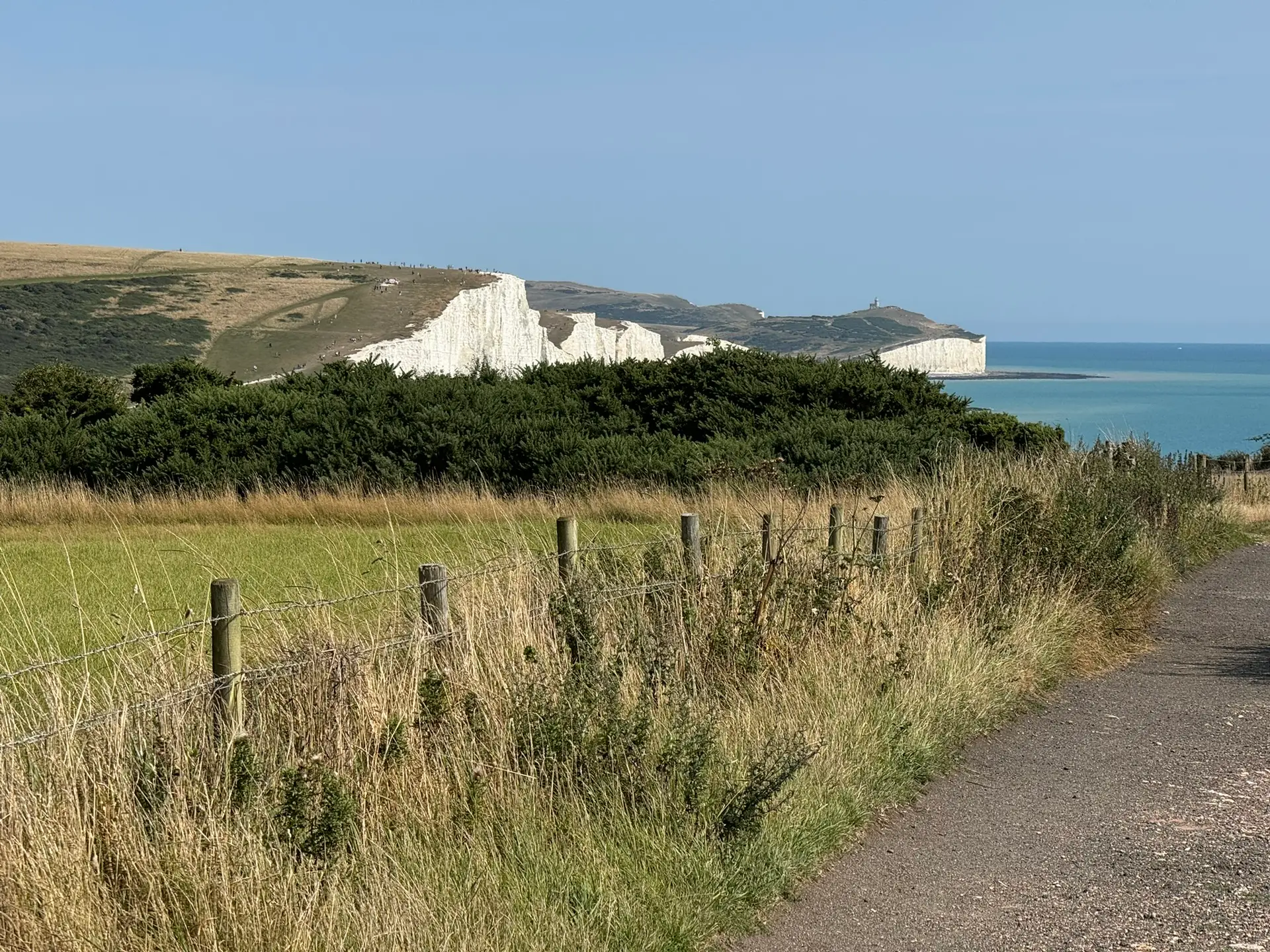 Biodiversity Net Gain Report example landscape of chalk cliffs, coastal grassland and farmland in Sussex, England