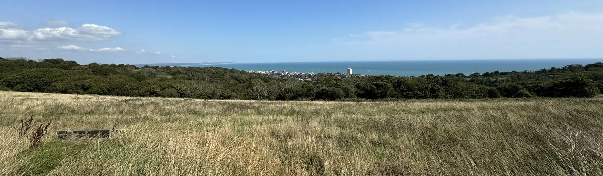 Coastal grassland and woodland landscape surveyed by biodiversity net gain consultants in England