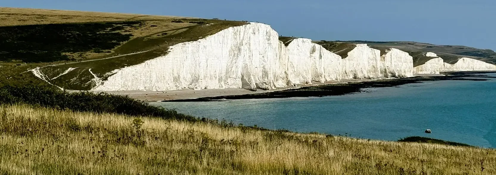 White chalk cliffs at the coastline under a blue sky with grassy fields in the foreground, symbolic landscape for BNG small sites, SSM compliance, and Small Sites Metric.