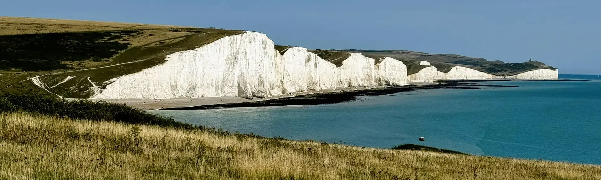 White chalk cliffs on the UK coastline with grassland foreground and blue sea, representing natural habitats assessed under statutory biodiversity metric BM4.0 and statutory biodiversity metric guidelines.