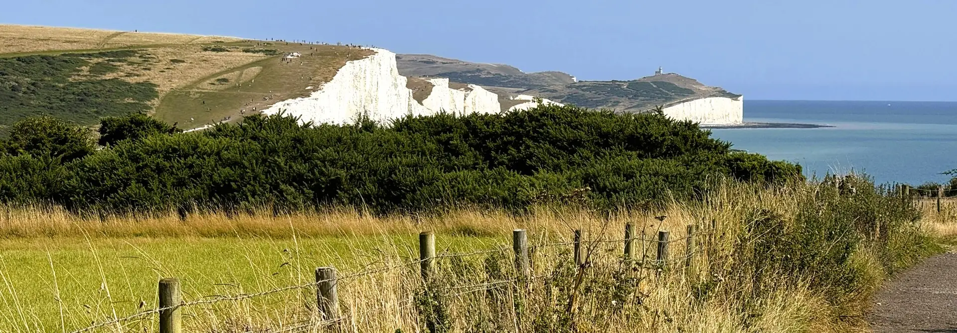 Panoramic coastal grassland and chalk cliffs in southern England, illustrating land types linked to biodiversity net gain units and statutory credits.
