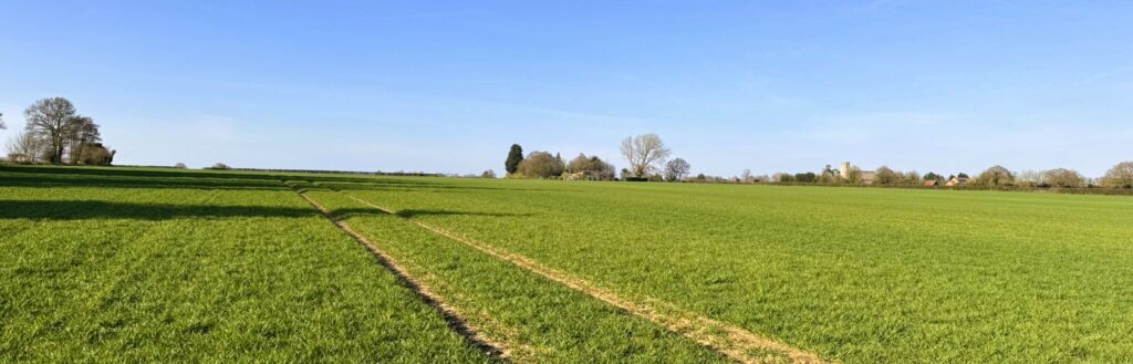 Open English farmland with hedgerows and distant village under blue sky, representing agricultural land suitable for Biodiversity Net Gain (BNG) for landowners and habitat banks. BNG for landowners.