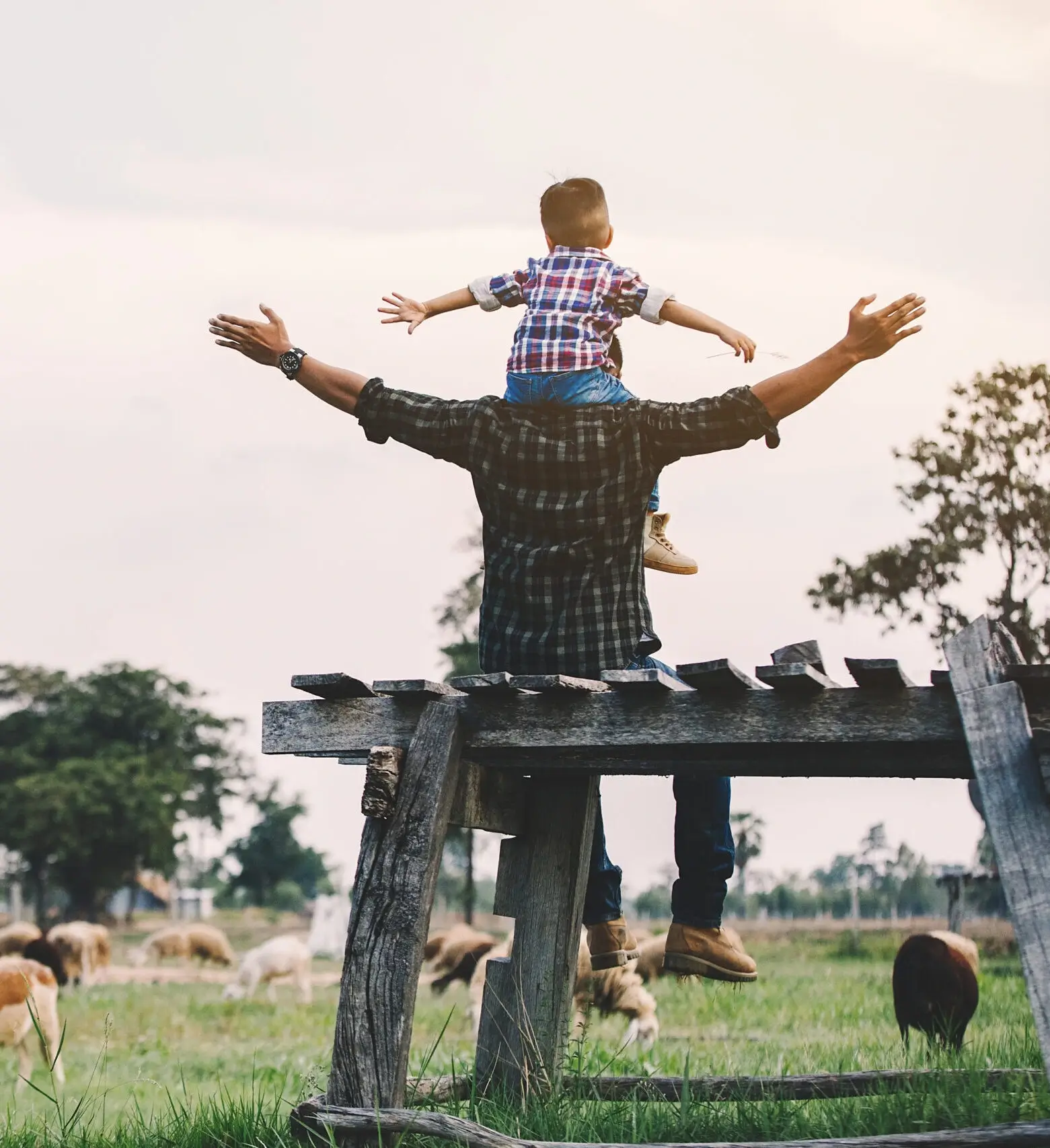 ACP Environmental Consultants