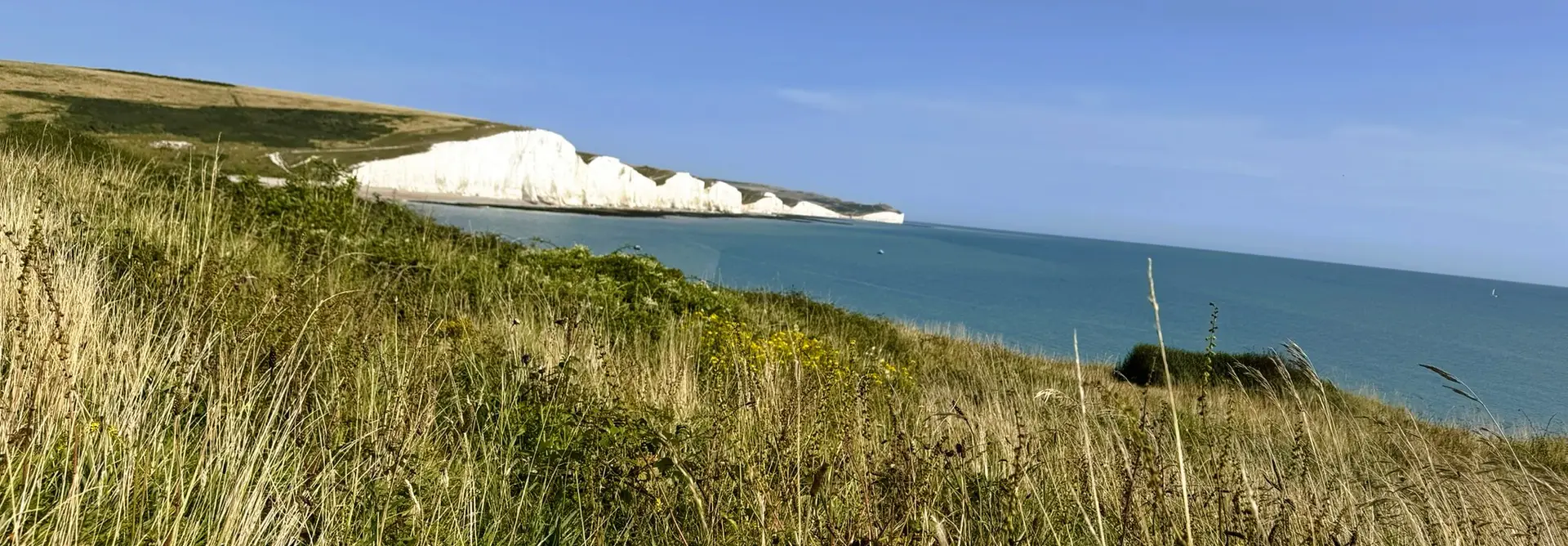 Coastal grassland and chalk cliffs overlooking the sea in southern England, representing long-term habitat monitoring and Biodiversity Net Gain reporting.