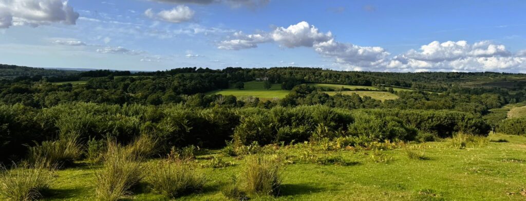 Panoramic view of coastal and upland habitats in North East England representing typical environments assessed for Biodiversity Net Gain (BNG) surveys and consultancy. BNG Survey in North East including Newcastle, Durham, Sunerland and other towns and cities. BNG in North East England.