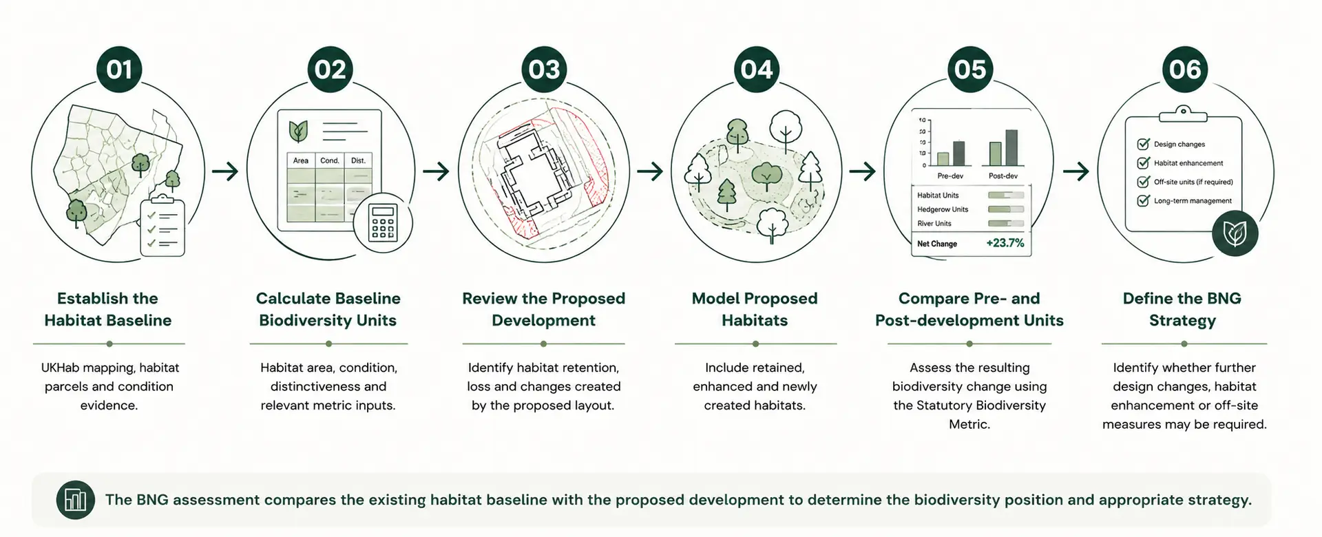 Six-stage Biodiversity Net Gain assessment process from UKHab habitat baseline through biodiversity unit calculations to BNG strategy.