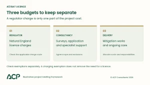 A13 bat licence budget diagram separating Natural England charges, ecological consultancy and mitigation delivery costs.