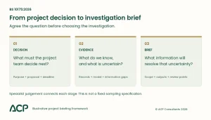 BS 10175 investigation brief framework: define the decision, review evidence gaps, then agree the scope and outputs.
